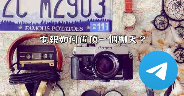 電報如何置頂一個聊天？