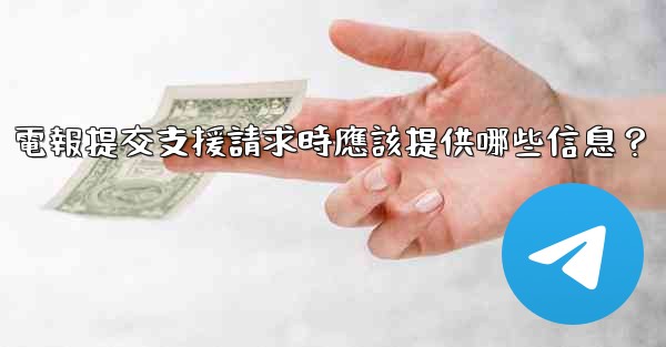 電報提交支援請求時應該提供哪些信息？