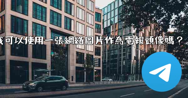 我可以使用一張網絡圖片作為電報頭像嗎？