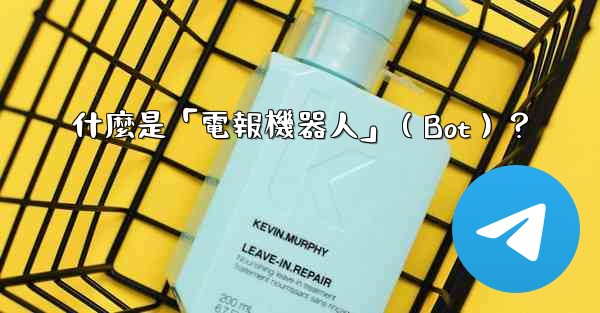 什麼是「電報機器人」（Bot）？