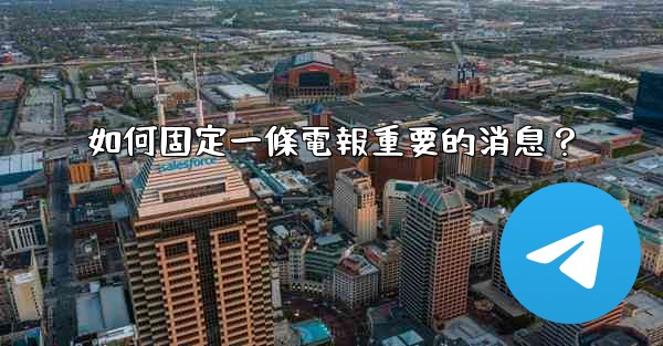 如何固定一條電報重要的消息？