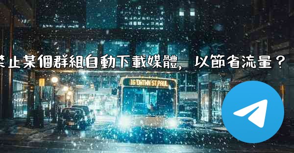 電報如何禁止某個群組自動下載媒體，以節省流量？