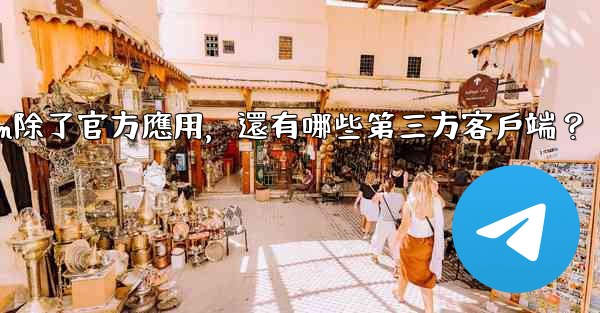 Telegram除了官方應用，還有哪些第三方客戶端？