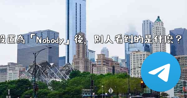 Telegram設置為「Nobody」後，別人看到的是什麼？