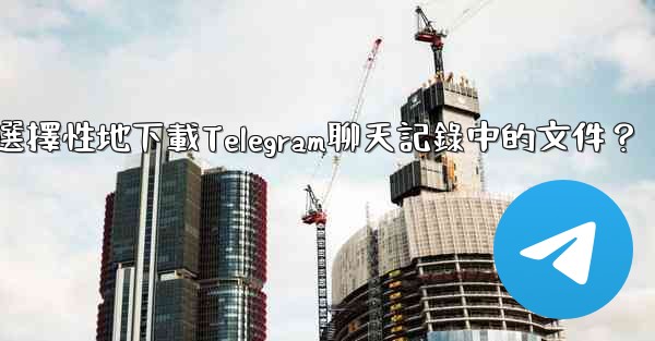 如何選擇性地下載Telegram聊天記錄中的文件？